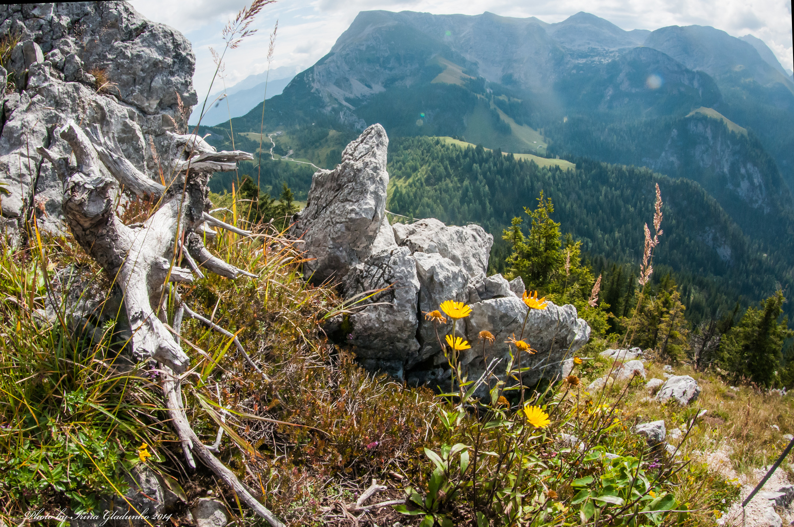 Blick aus Jennerberg