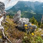 Blick aus Jennerberg