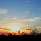 Blick aus mein Fenster