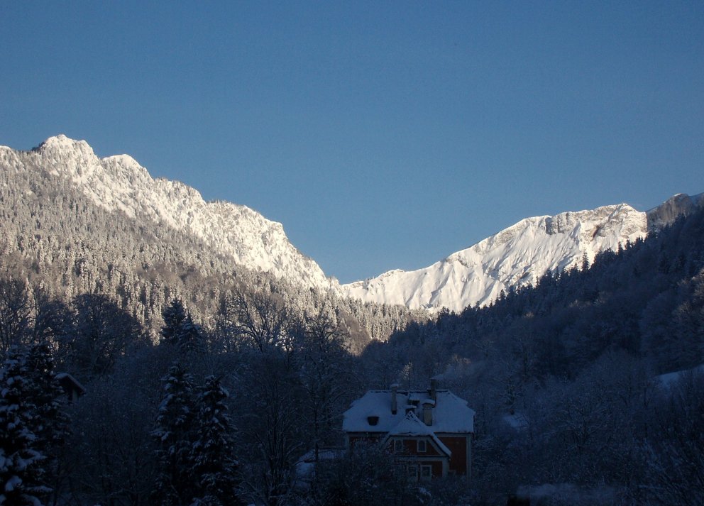 Blick aus meinem Bürofenster