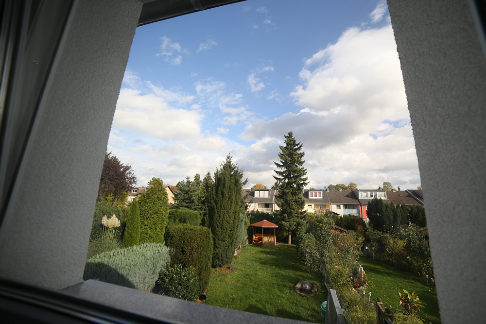 Blick aus meinem Bürofenster