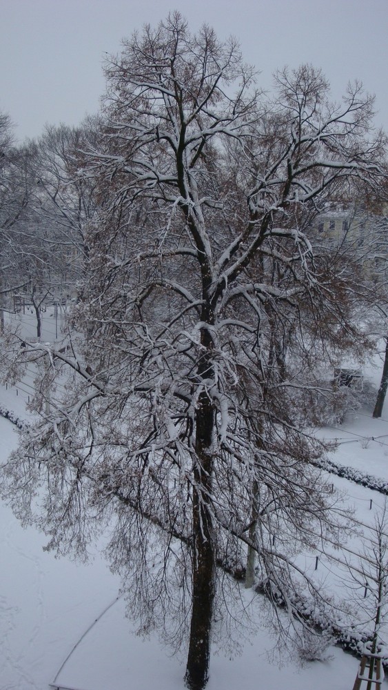 Blick aus meinem Fenster