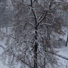 Blick aus meinem Fenster