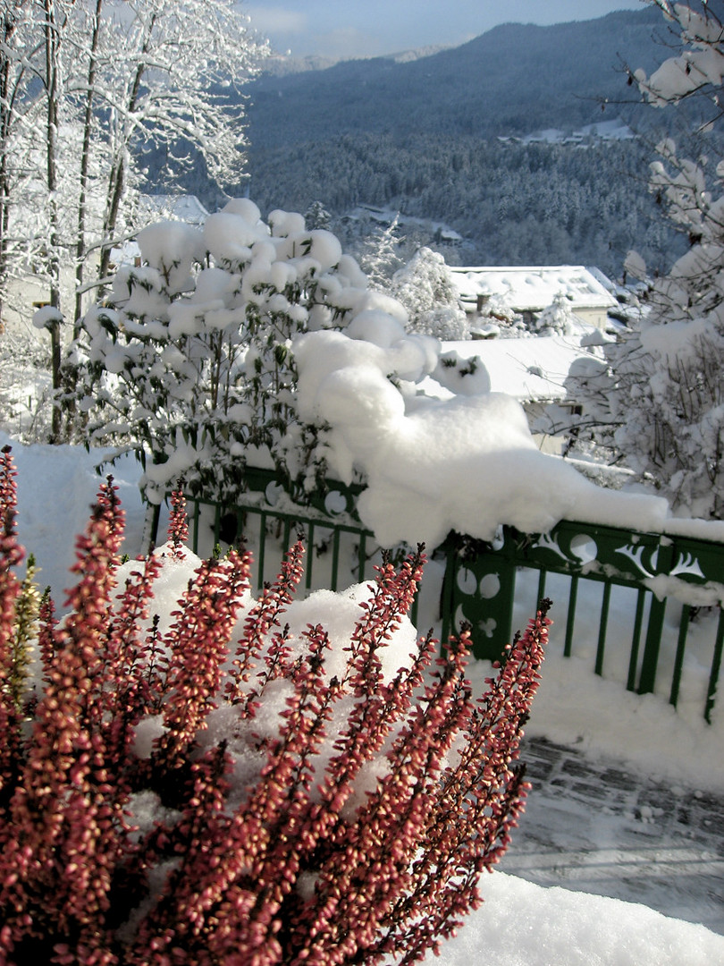 Blick aus meinem Fenster