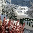 Blick aus meinem Fenster