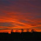 Blick aus meinem Fenster