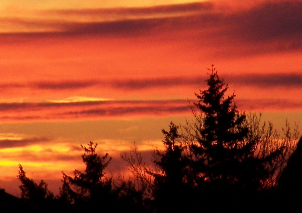 Blick aus meinem Fenster