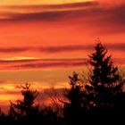 Blick aus meinem Fenster