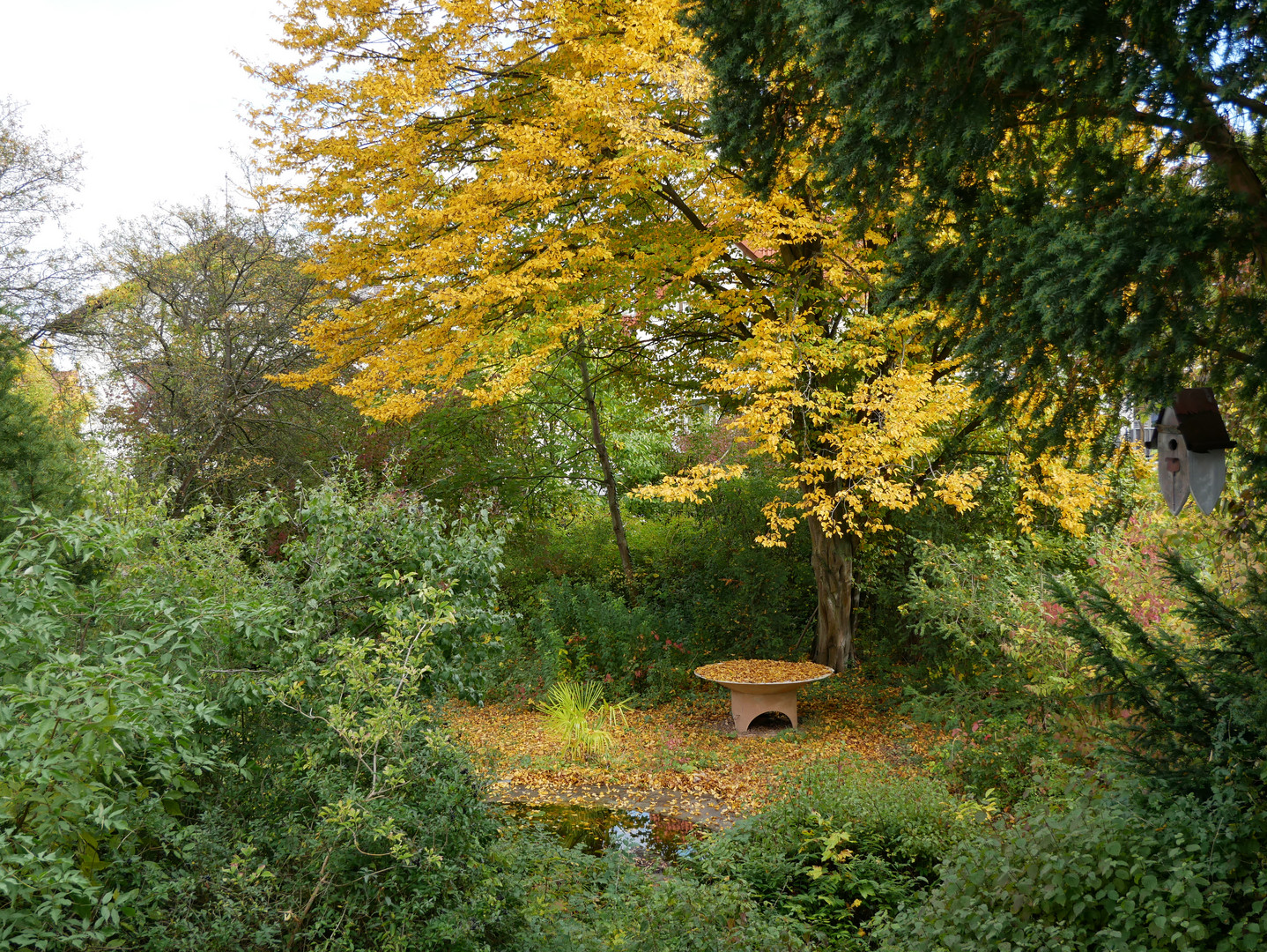 Blick aus meinem Fenster 