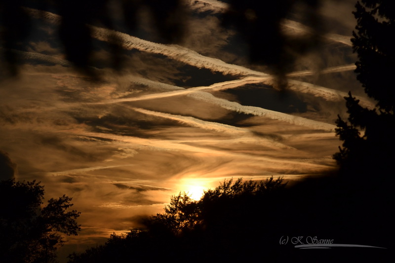 - Blick aus meinem Fenster -