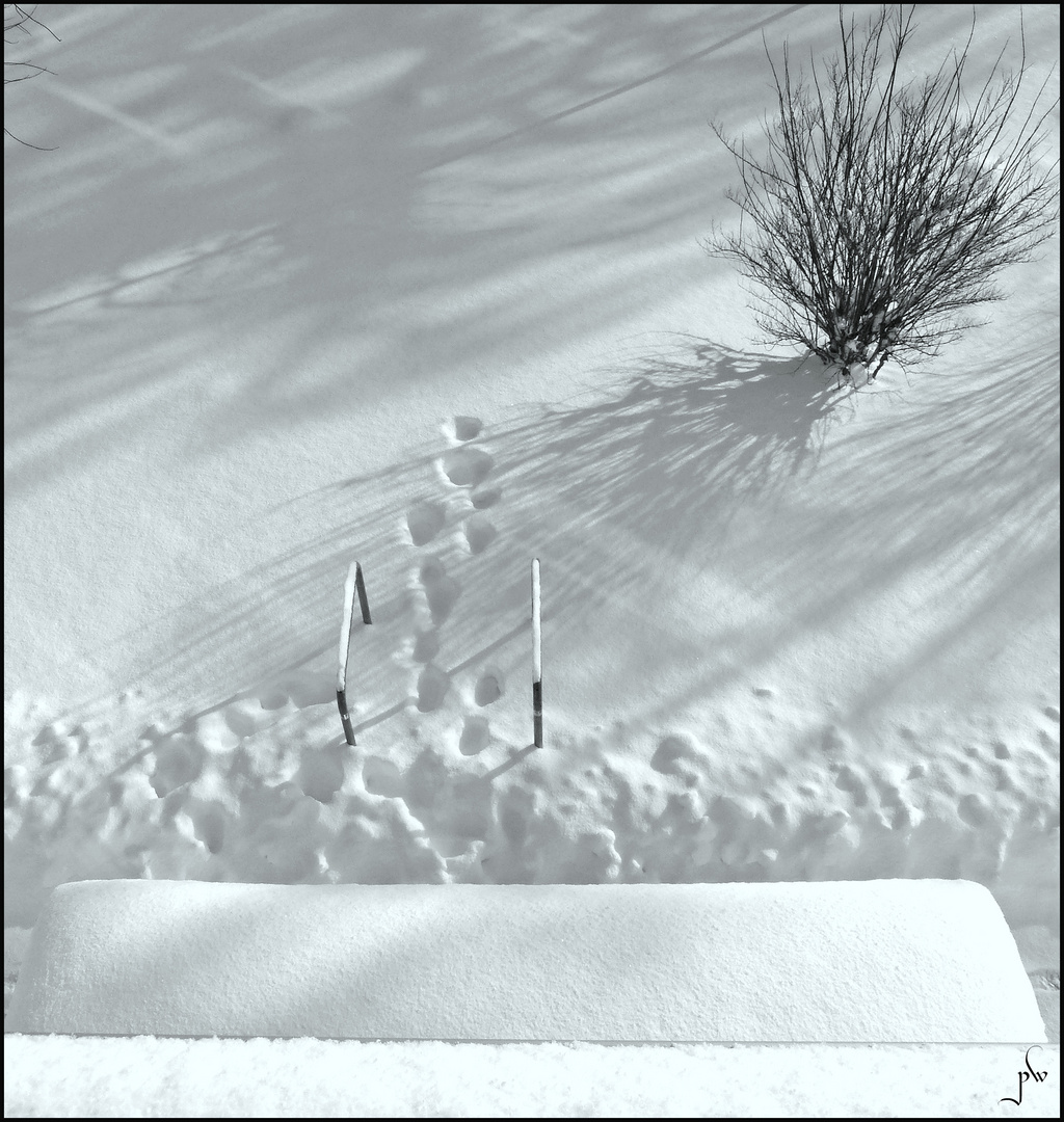 Winter Schnee Schneebilder Fenster Herren wintermantel