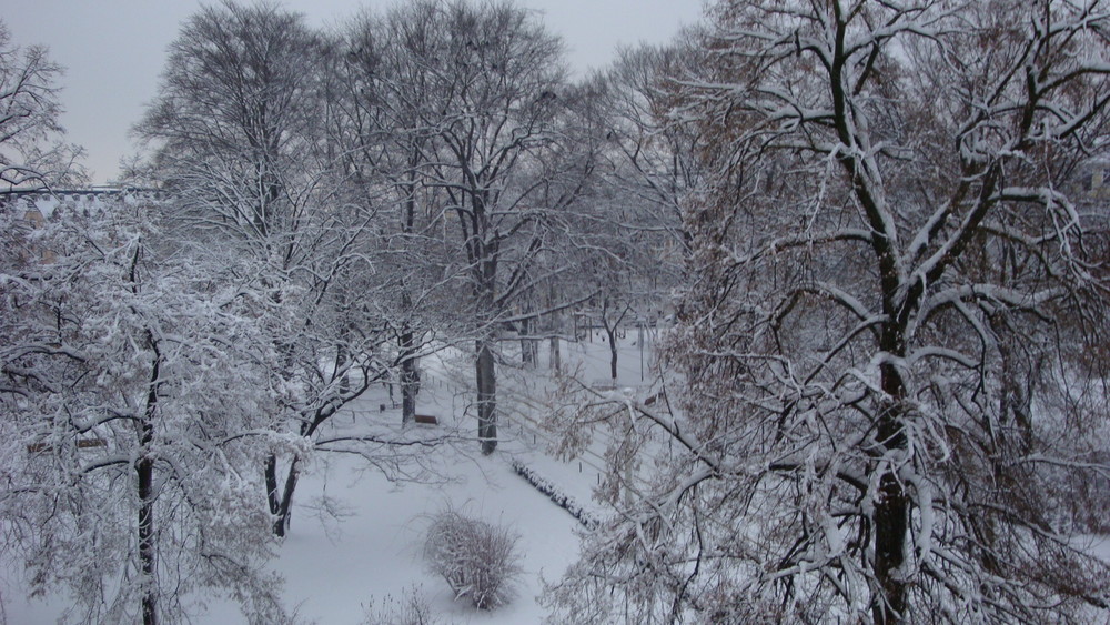 Blick aus meinem Fenster...