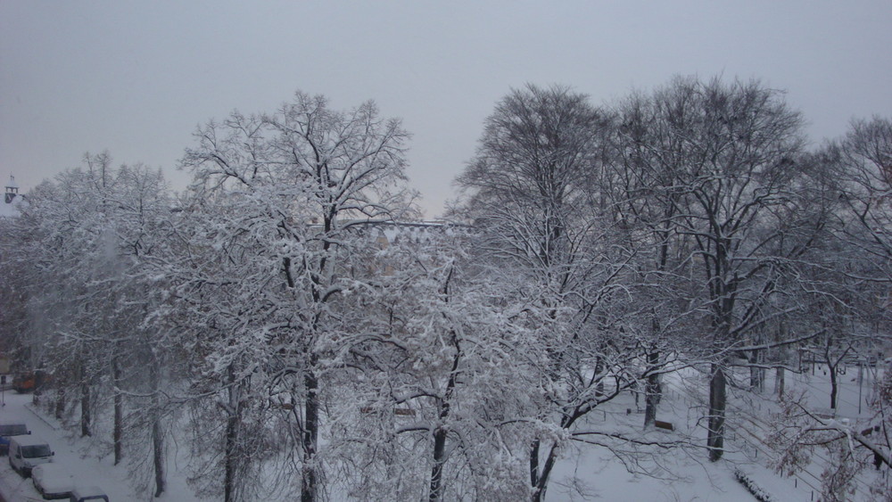 Blick aus meinem Fenster..