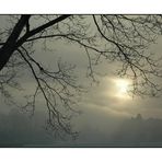 Blick aus meinem Fenster