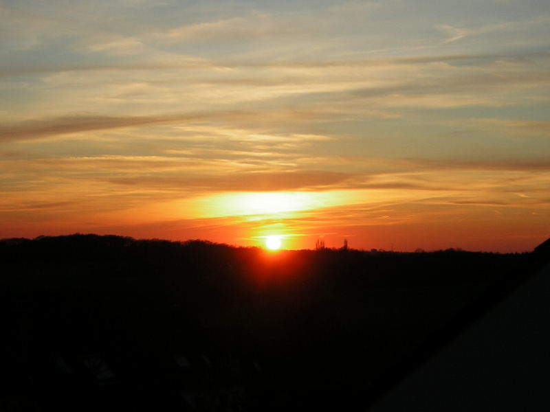 Blick aus meinem Fenster