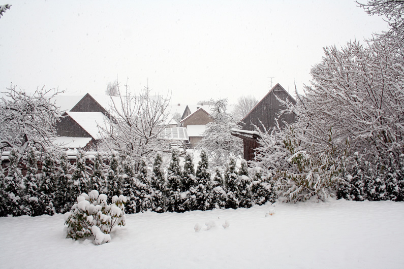 Blick aus meinem Fenster