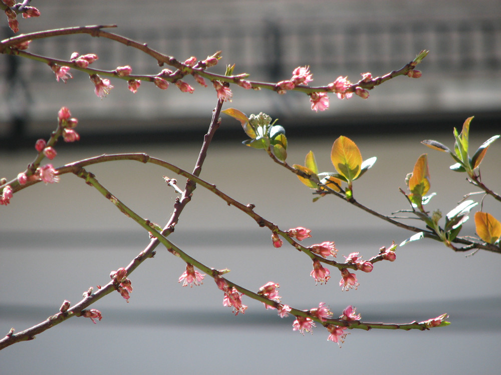 Blick aus meinem Fenster