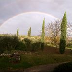 Blick aus meinem Fenster