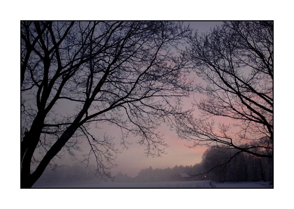 Blick aus meinem Fenster II