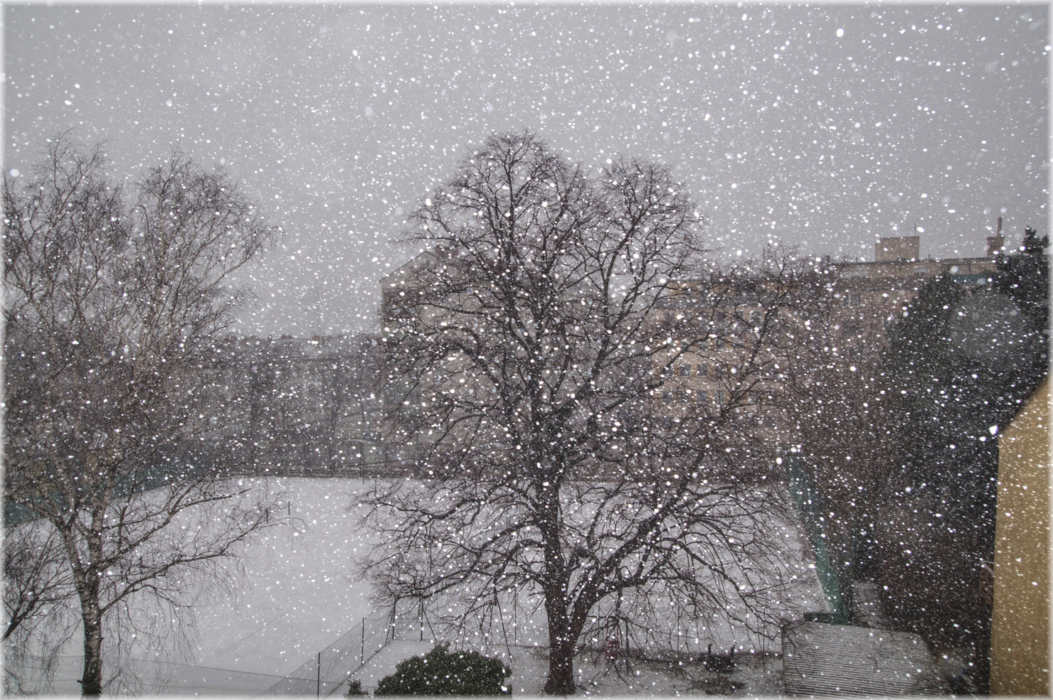 Blick aus meinem Fenster im Jänner