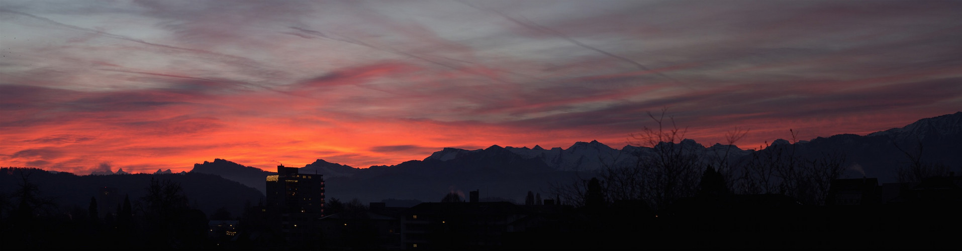 Blick aus meinem Fenster IV