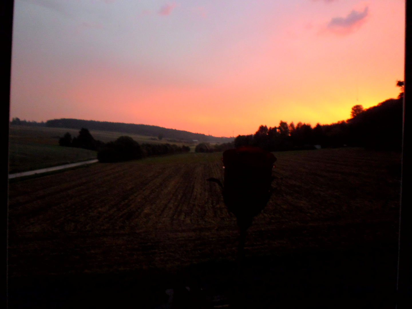 Blick aus meinem Wohnzimmerfenster.....