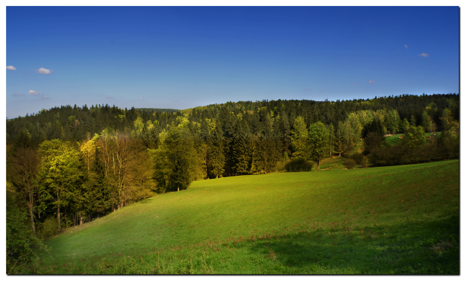 Blick aus meinen Fenster