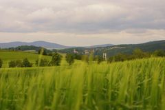 Blick aus Neuschirgiswalde zum Czorneboh