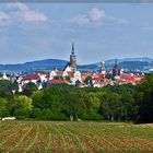 Blick aus Richtung Salzenforst nach Bautzen