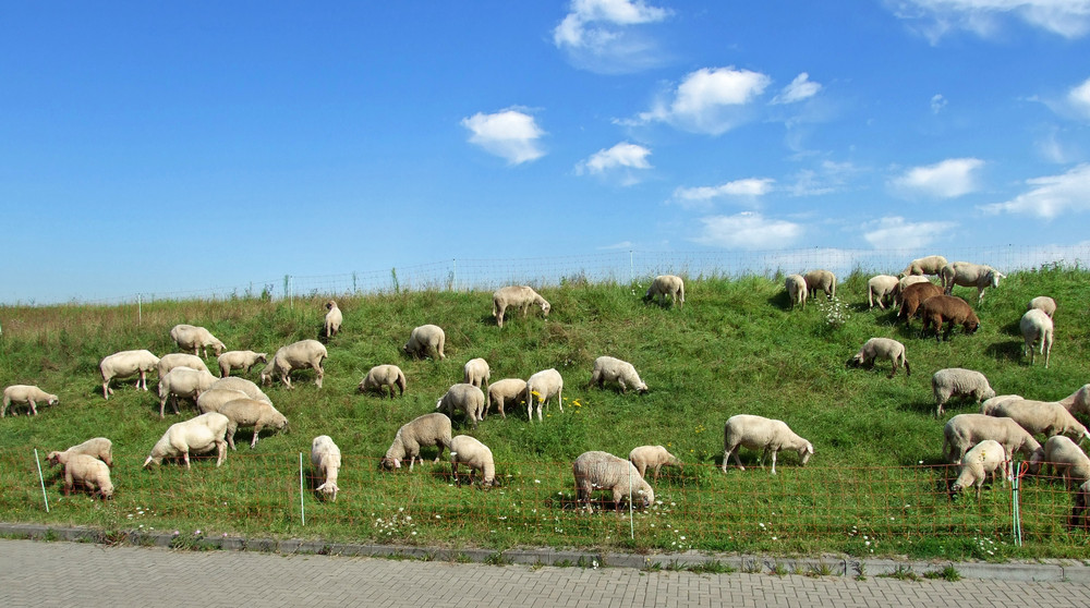 Blick aus unserem Haus