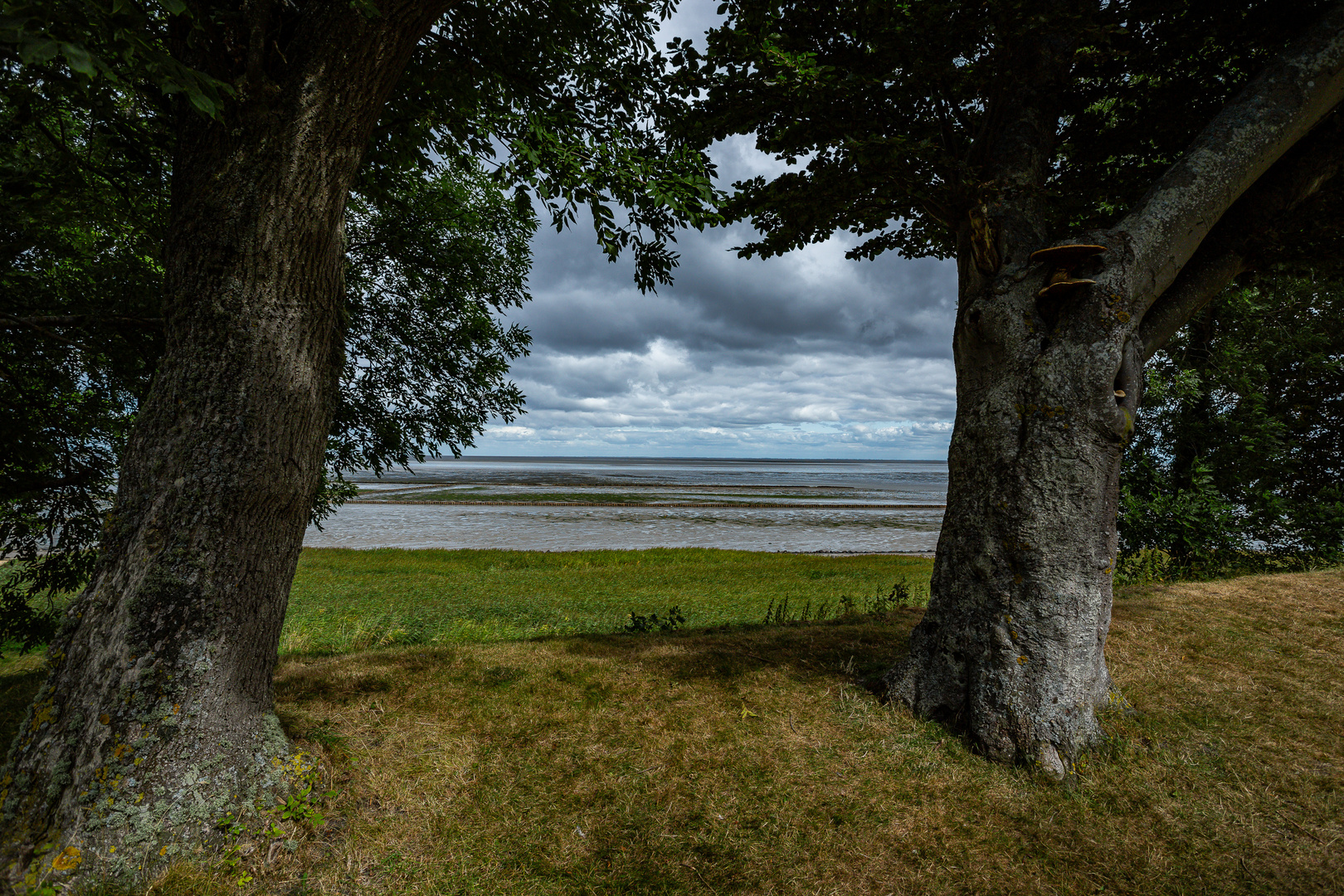 Blick aus Wattenmeer