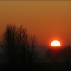 Blick aus'm Küchenfenster