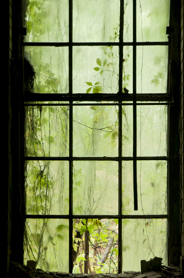 Blick bei Regen aus Ruine