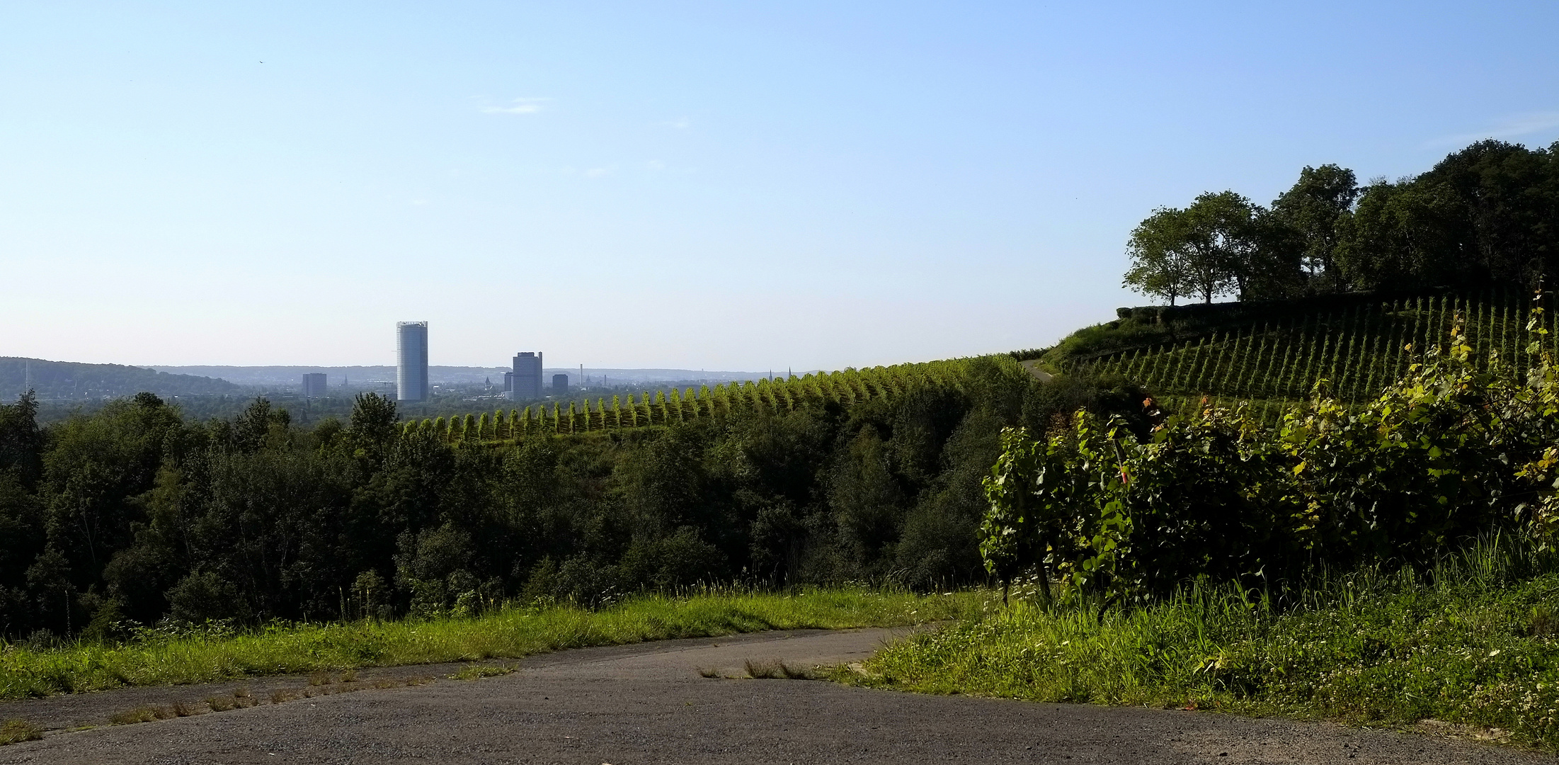 Blick bis Bonn