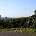 Blick bis Bonn