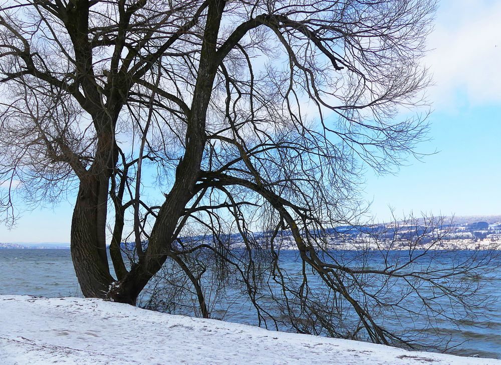 Blick bis hinunter nach Zürich