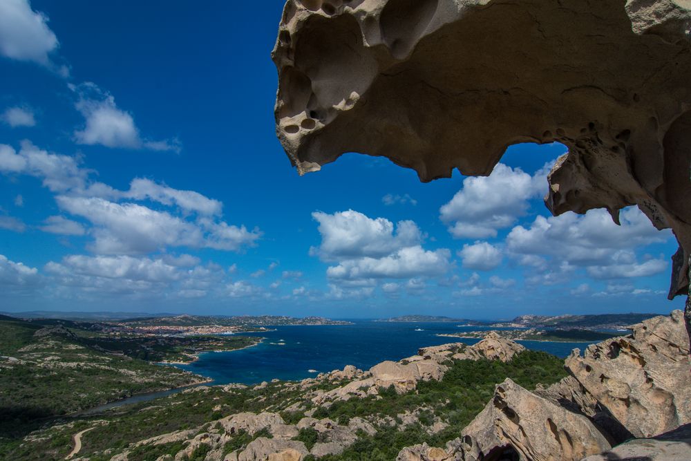 Blick des Bären nach Palau