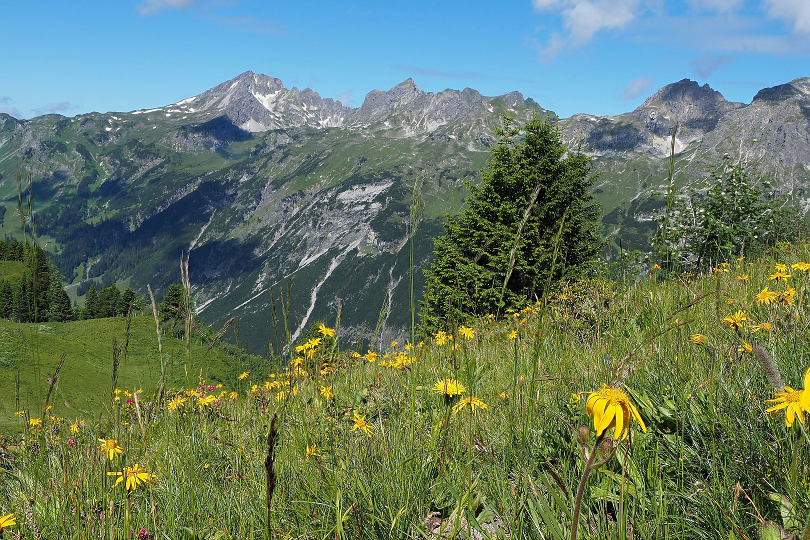 Blick die Schafalpenköpfe