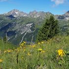 Blick die Schafalpenköpfe