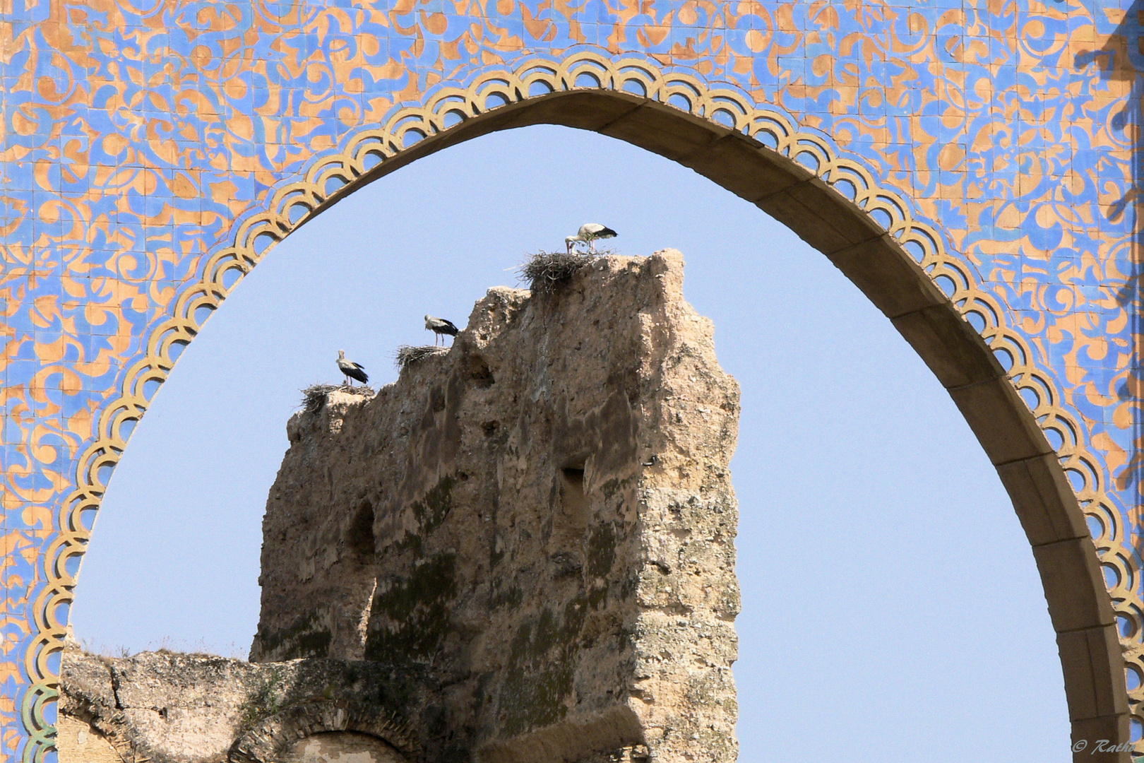 Blick durch Bab el-Berdain, dem „Tor der Sattler“ in Meknès / Marokko