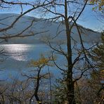 Blick durch Bäume zum See