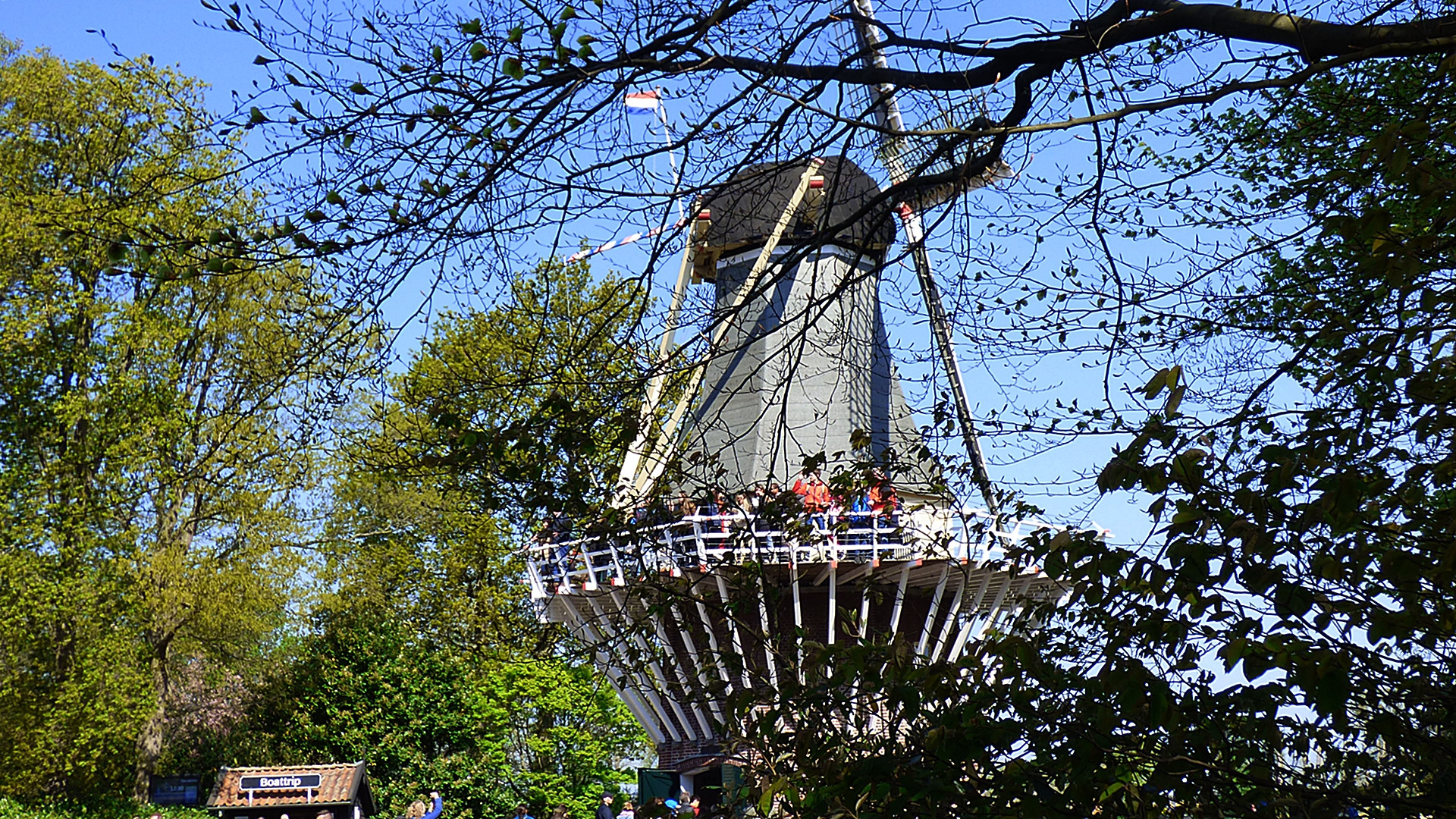 Blick durch das Geäst . . .