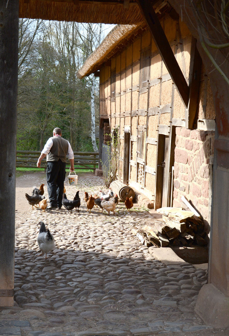 Blick durch das Hoftor eines Bauernhofes