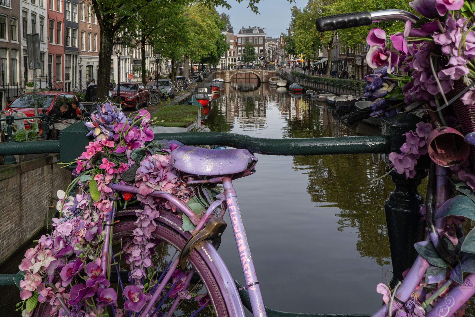 Blick durch das pinke Rad in Amsterdam