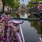 Blick durch das pinke Rad in Amsterdam