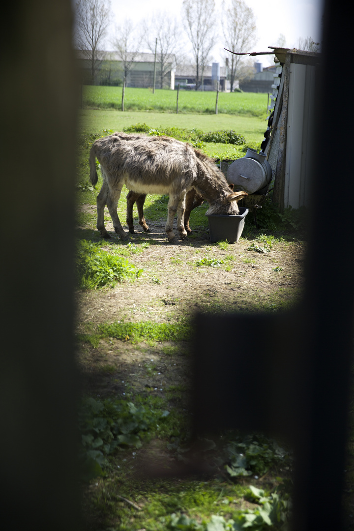 Blick durch das Scharnier...