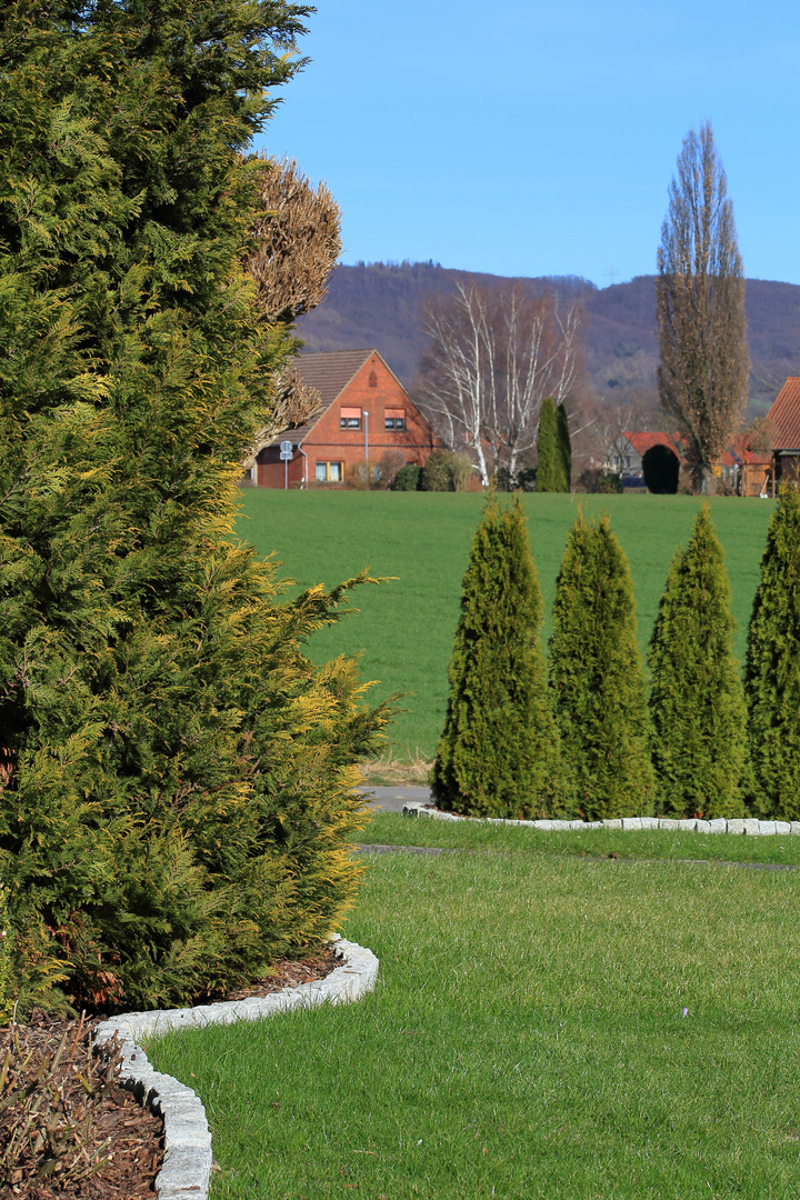 Blick durch den Garten nach gegenüber 