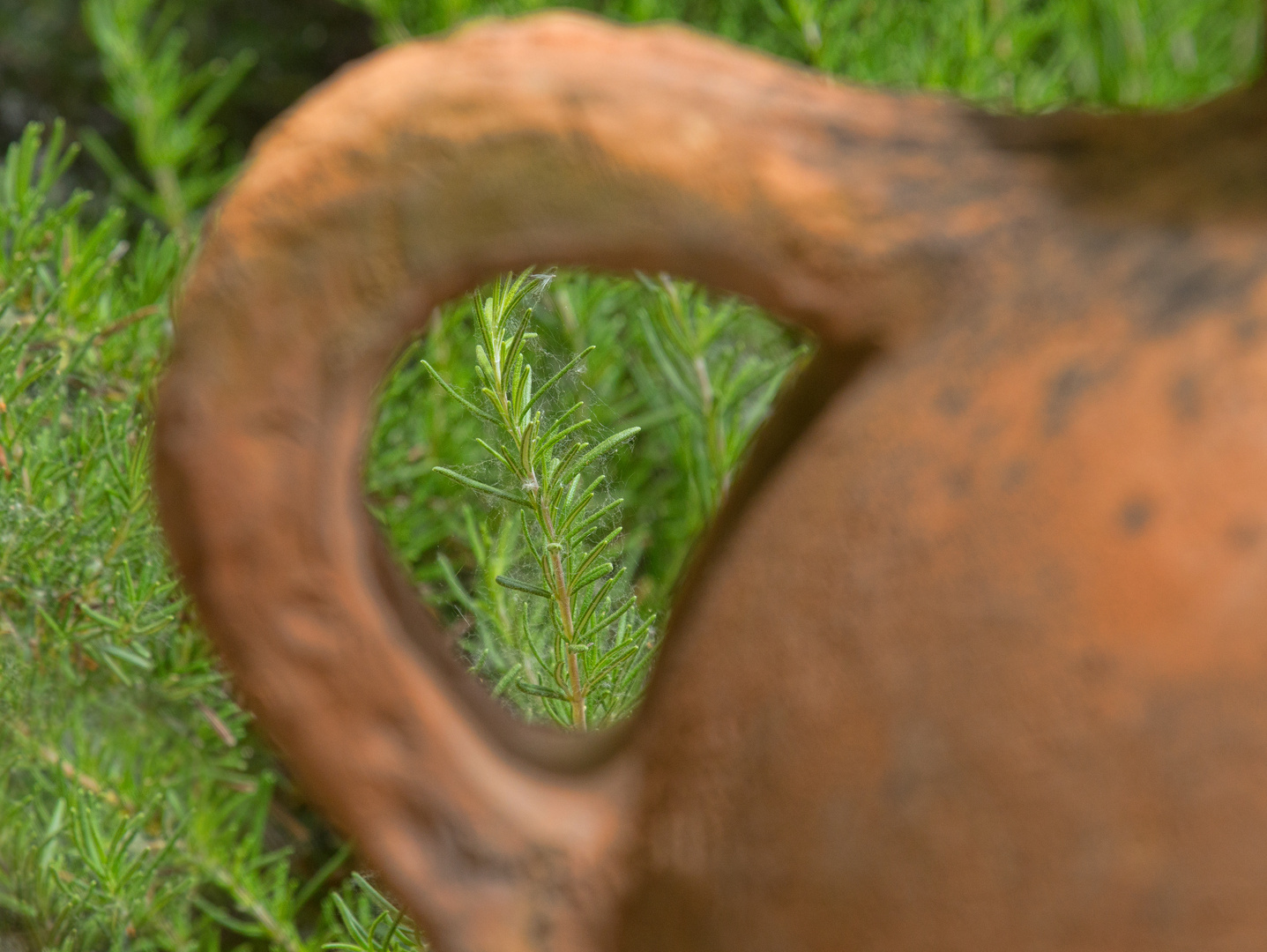 Blick durch den Griff vom Terracotta-Pflanztrog