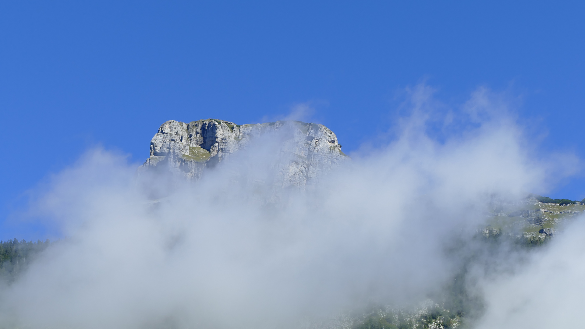 Blick durch den Nebel