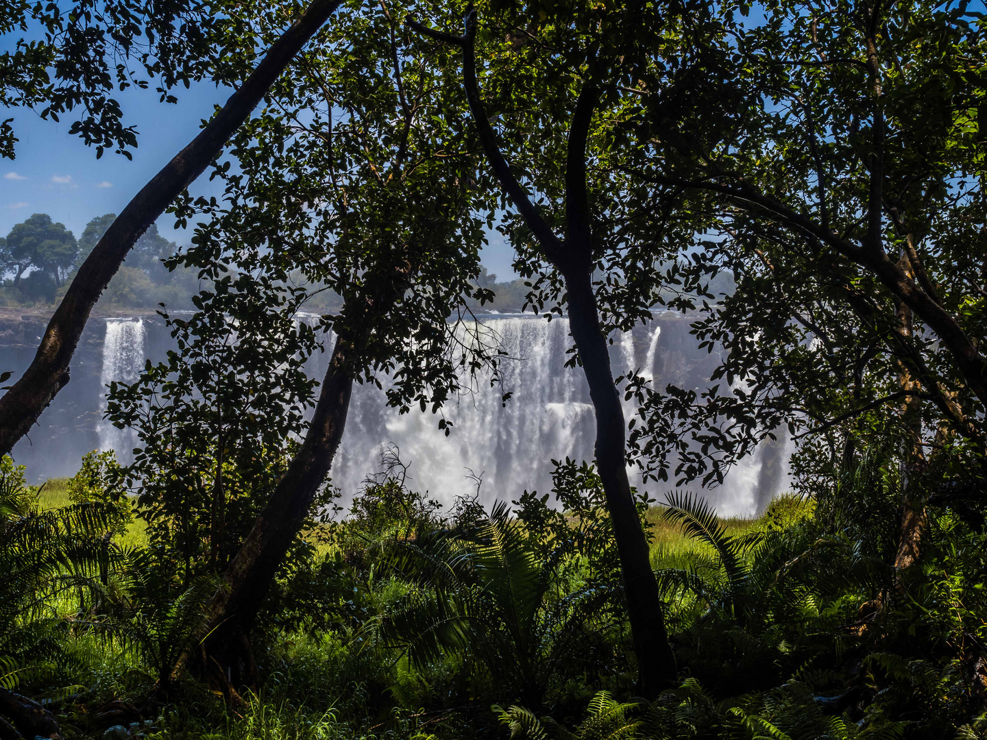 Blick durch den Regenwald auf die Victoria-Fälle